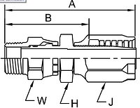 Parker BG series 213BG hose fitting