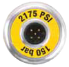 SensoControl Analog Transducer 2175 PSI