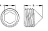 Brakequip - Fitting Plugs