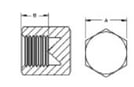 BrakeQuip Plug