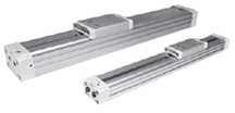 Rodless Pneumatic Cylinders P1X