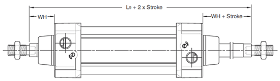 P1D Basic Body Dimensions 1