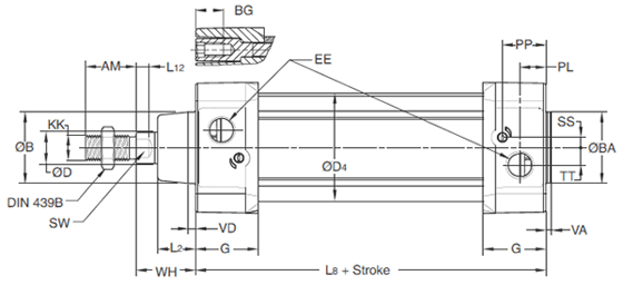 P1D Basic Body Dimensions 2