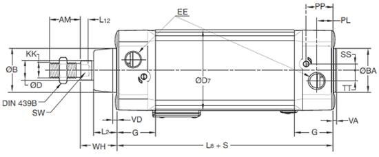 P1D Clean Version Body Dimensions