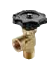 V405P Female Pipe to Male Pipe