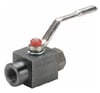 Parker Carbon Steel Series 500HP Ball Valve