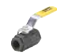 V500CS Carbon Steel Female-Female Pipe Ends Dimensions