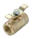 V500P-X-04-female.png