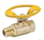 V501P-X-21 Oval Handle Male-Female Pipe Ends Ball Valve
