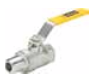 V501SS Stainless Steel Ball Valve