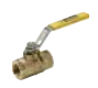 V502P Female-Female Panel Mount Ball Valve