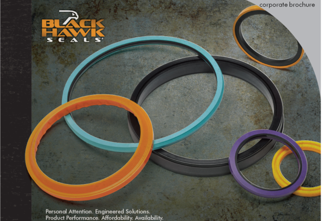 BlackHawk-Seals-Image BlackHawk-Seals-Image