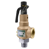 Product Type Valves Relief 2 173x173 MFCP